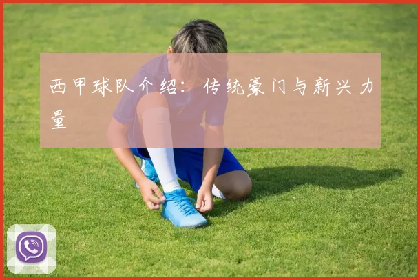 西甲球队介绍：传统豪门与新兴力量