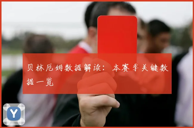 贝林厄姆数据解读：本赛季关键数据一览